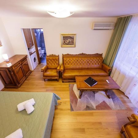 Apartament Family Rivulus 8 Baia Mare Buitenkant foto