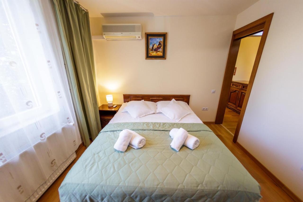 Apartament Family Rivulus 8 Baia Mare Buitenkant foto