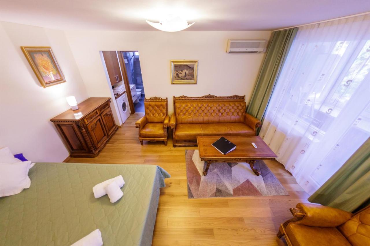 Apartament Family Rivulus 8 Baia Mare Buitenkant foto