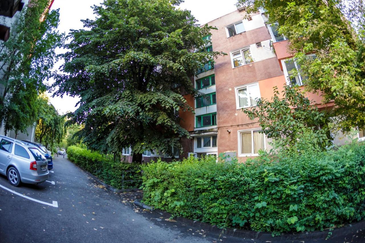 Apartament Family Rivulus 8 Baia Mare Buitenkant foto