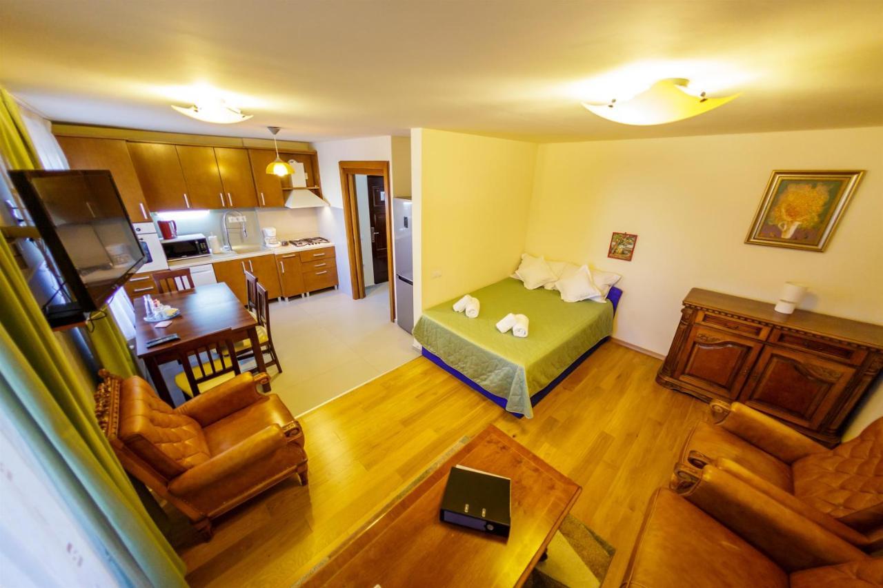 Apartament Family Rivulus 8 Baia Mare Buitenkant foto